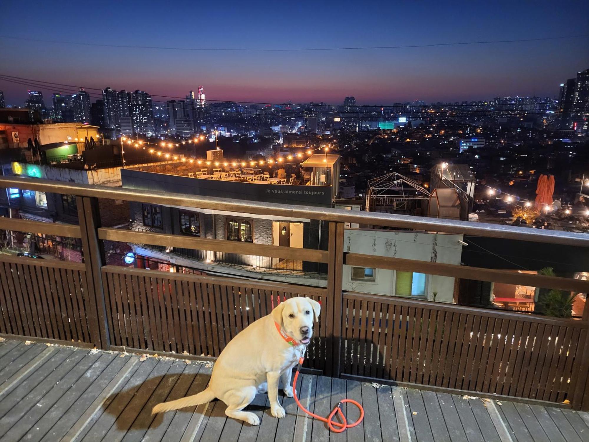 Brand New 2 Bedroom Apartment #6 Seoul Luaran gambar