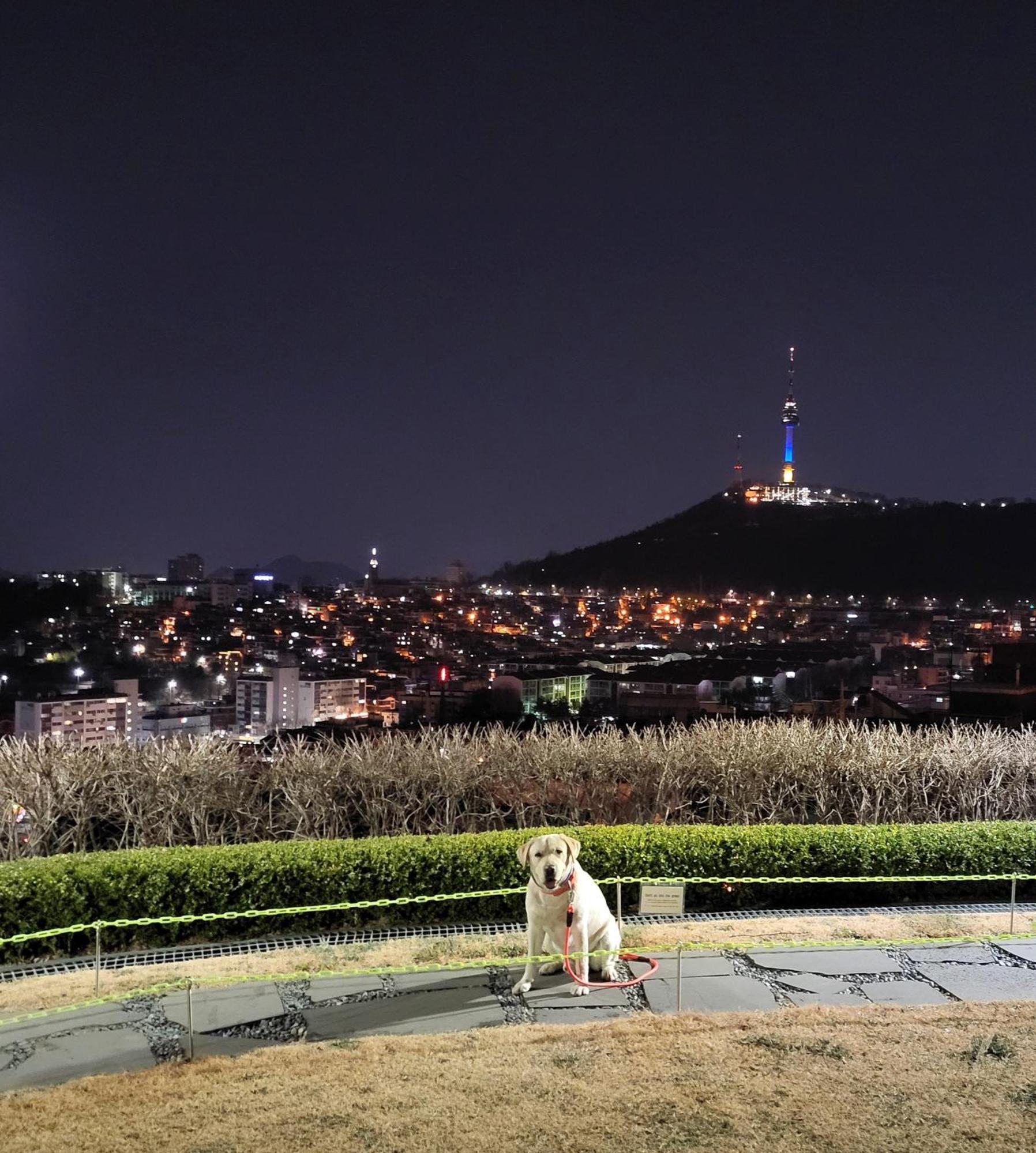 Brand New 2 Bedroom Apartment #6 Seoul Luaran gambar